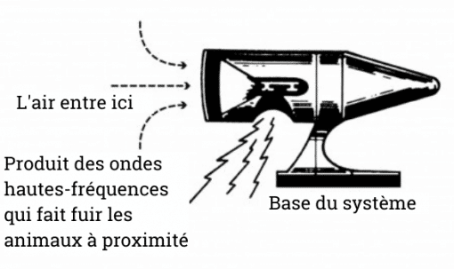 Avertissement-pour-animaux-schema-Les-Bikeuses